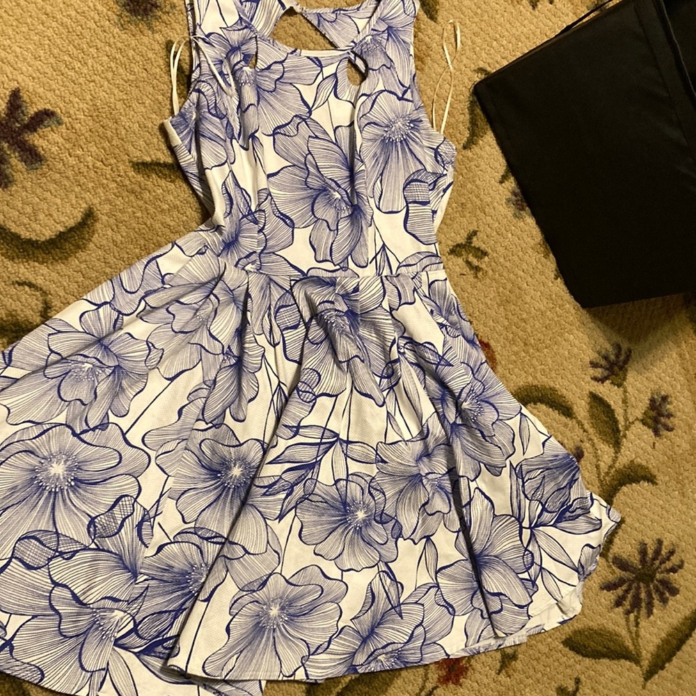 Danny and Nicole Blue/White Floral dress (4)